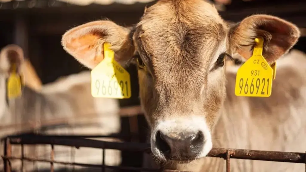 Título de Melhor Ecofazenda 2026 vai para o sul da Boémia. Visite a fazenda vencedora no Dia de Portas Abertas