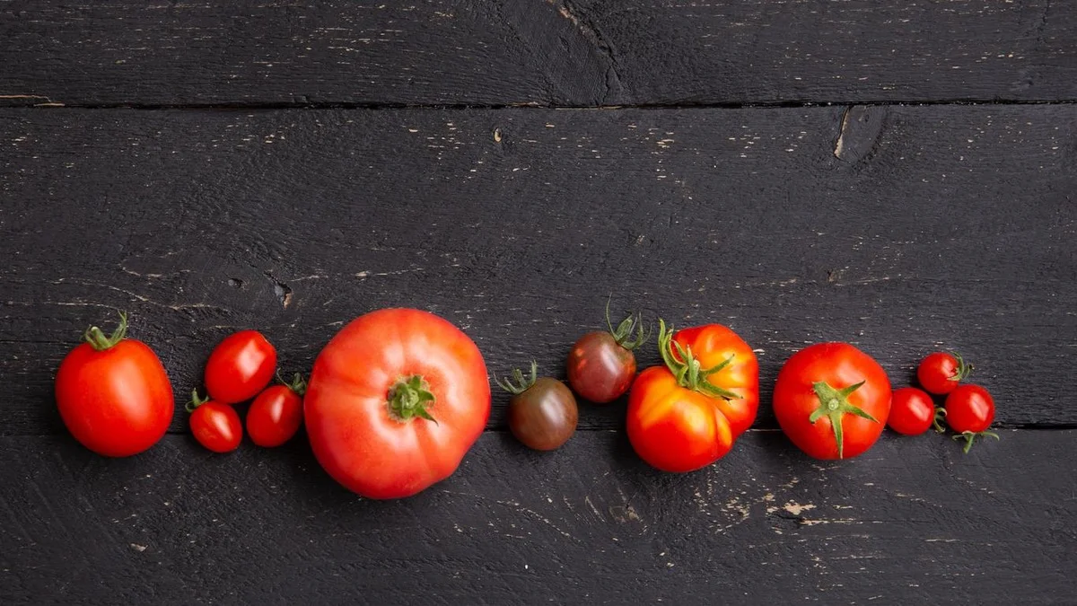Tomates conseguem proteger o corpo contra AVC e infarto. Veja como prepará-los para maximizar o efeito